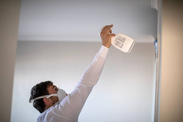 Mold Testing and Removal in Glenville, WV