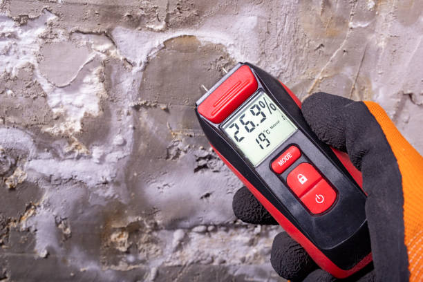 Best Crawl Space Mold Removal  in Glenville, WV